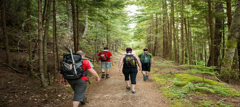 Carlyle Lake Hiking Trails